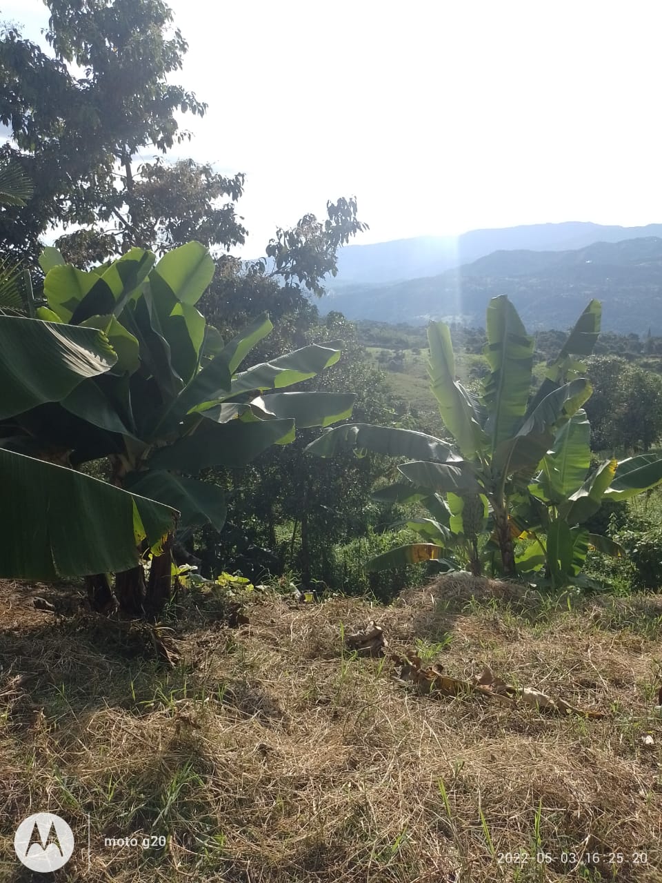 Lote en Venta Vista Hermosa - Imagen 2