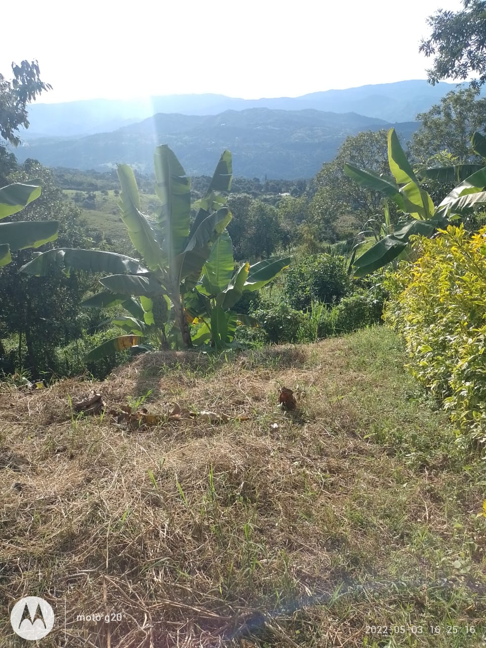 Lote en Venta Vista Hermosa - Imagen 3