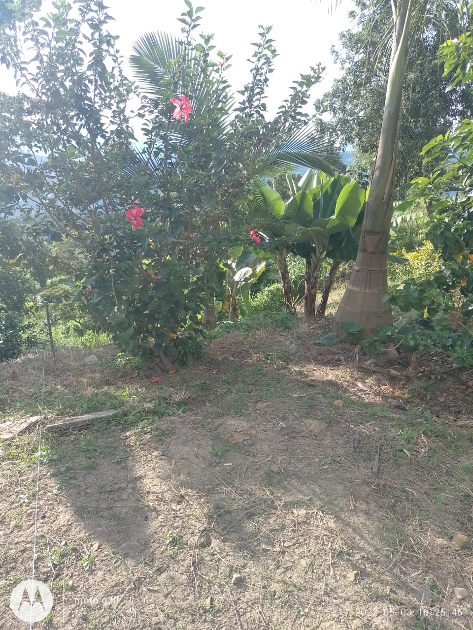 Lote en Venta Vista Hermosa - Imagen 4