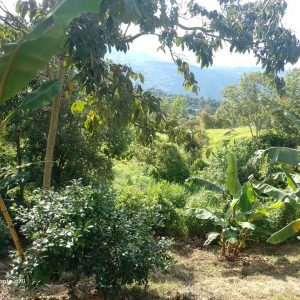 Lote en Venta Vista Hermosa