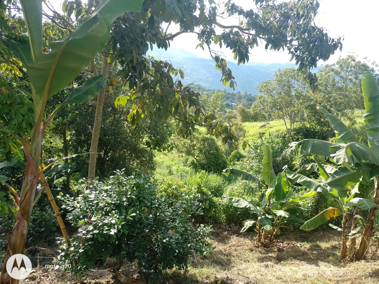 Lote en Venta Vista Hermosa