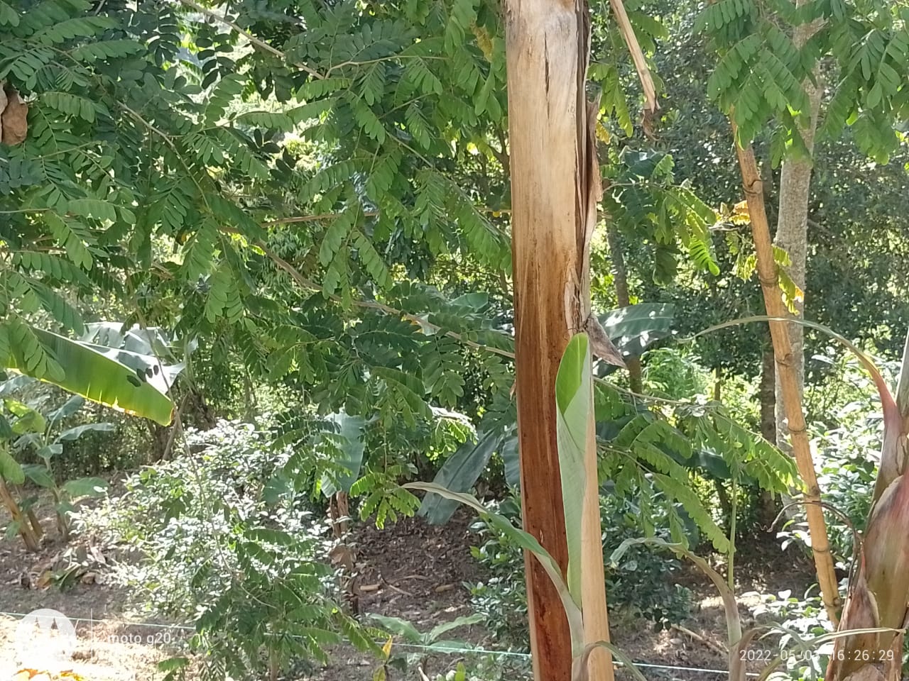 Lote en Venta Vista Hermosa - Imagen 6