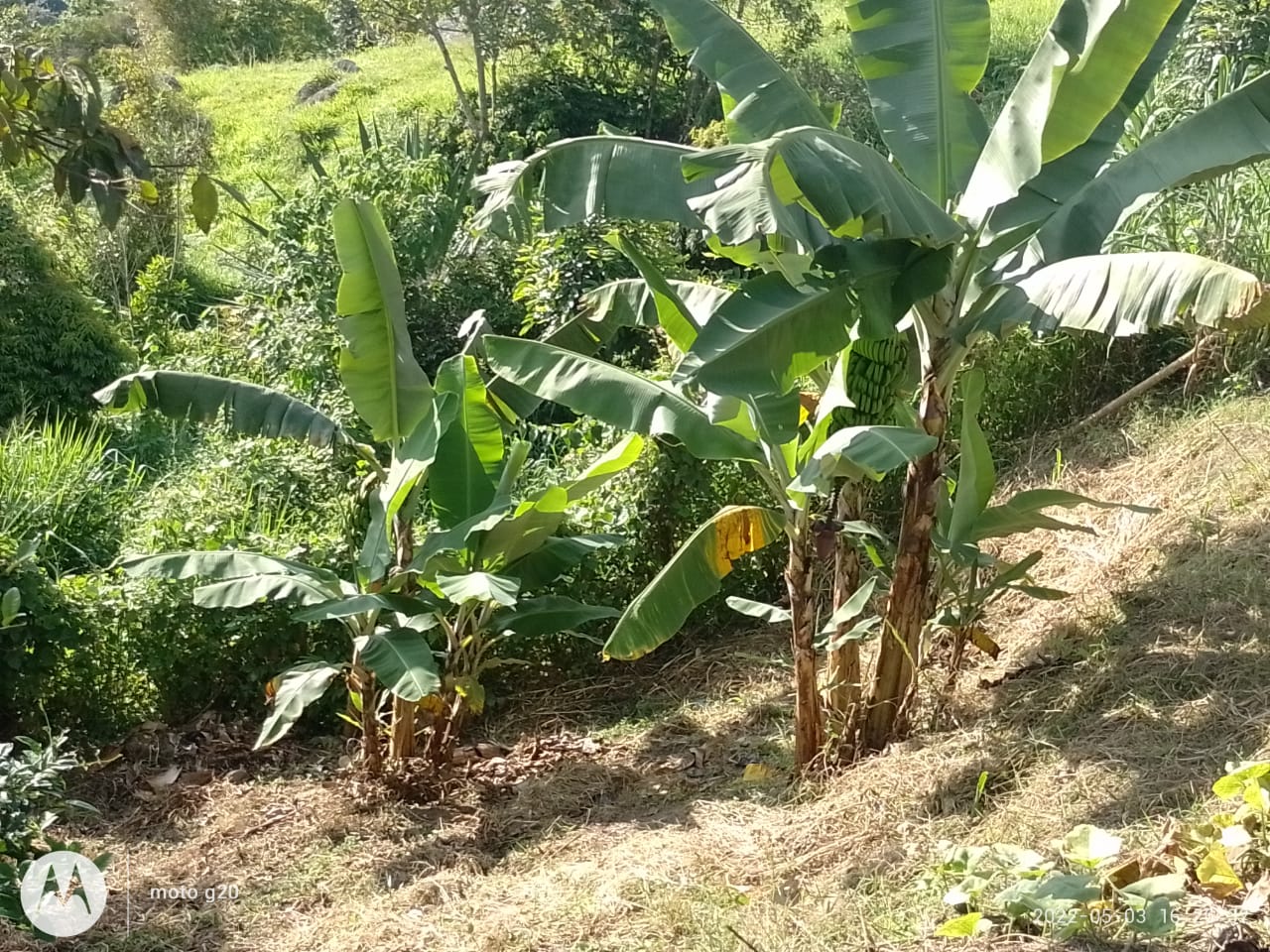 Lote en Venta Vista Hermosa - Imagen 7