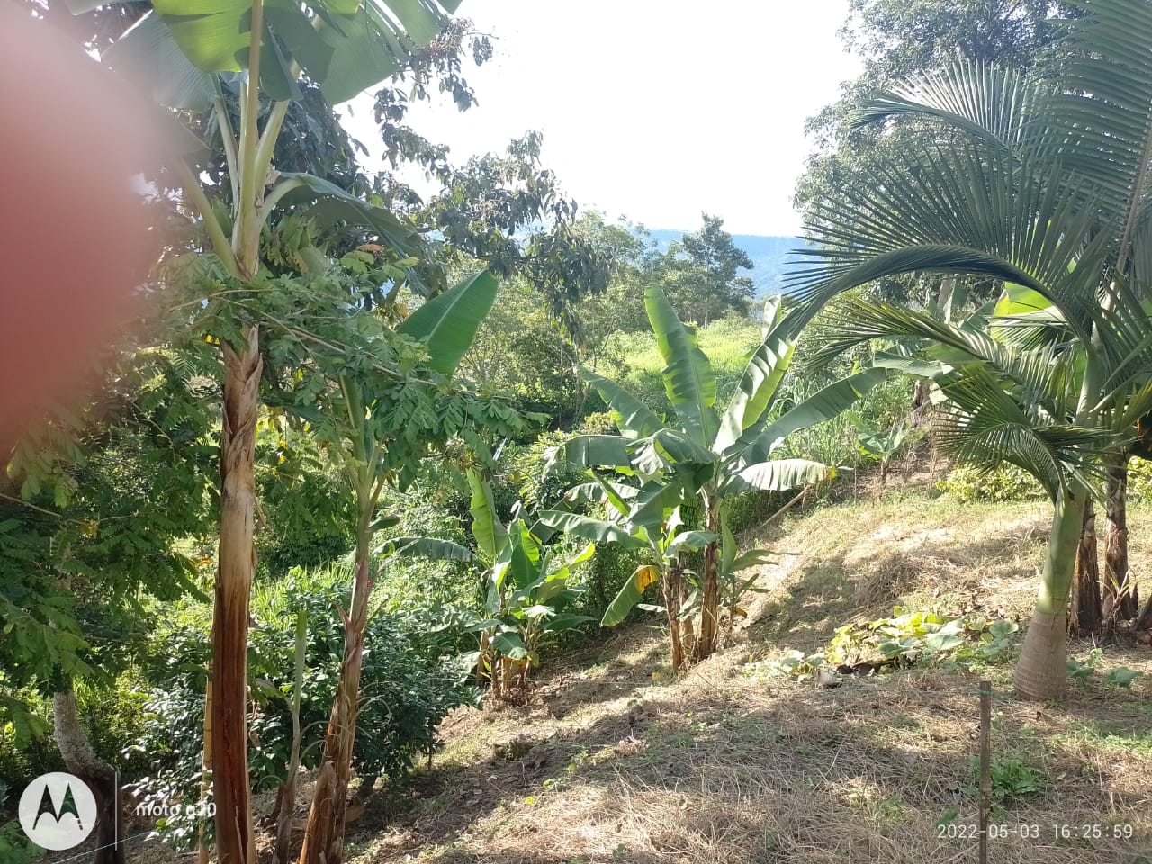 Lote en Venta Vista Hermosa - Imagen 8